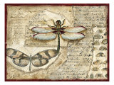 Poetic Dragonfly I
