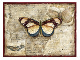 Poetic Butterfly I