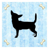 Chihuahua in Blue