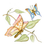 Fluttering Butterflies II