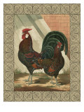 Roosters V