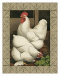 Roosters I