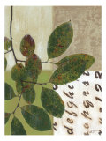 Autumn's Design II