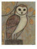 Ornate Owl I