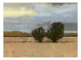 Approaching Storm I