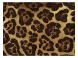 Spots II