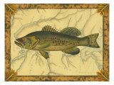 Black Bass on Map