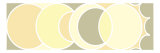 Solar Phases