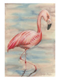 Pink Flamingo I