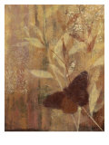 Copper Meadows II