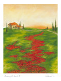 Tuscany at Sunset II