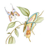 Fluttering Butterflies I