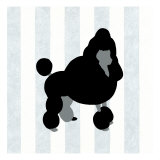 Poodle in Neutral