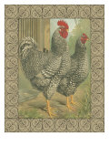 Roosters II