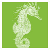 Saturated Sea Life II