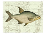 Freshwater I