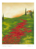 Tuscany at Sunset I