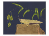 Ornamental Grasshopper II