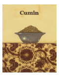 Exotic Spices - Cumin
