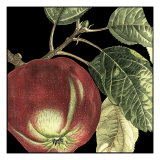 Dramatic Apple
