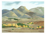 Mini Western Vista V
