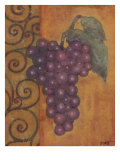 Scrolled Grapes I