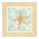 Ocean Starfish