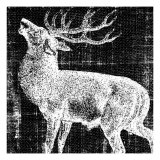 Northwest Territory II