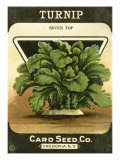 Turnip