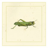 Green Hopper