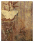 Copper Meadows I