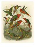 Red Cassel Birds I