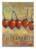 Habanero