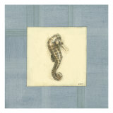 Sea Breeze V