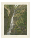 Tranquil Cascade II