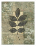 Leaf Textures II
