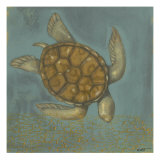 Sea Turtle I