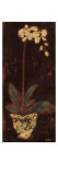 Gilded Orchid I