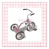 Krista's Tricycle