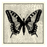 Classical Butterfly I