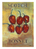 Scotch Bonnet