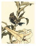 Oriental Bird on Branch II