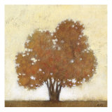 Autumn Morning
