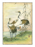 Oriental Cranes I