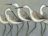 Shore Birds I