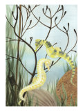 Seahorse Serenade II