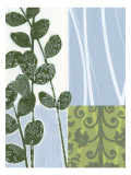Serene Sway I