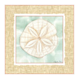 Ocean Sanddollar