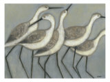 Shore Birds II