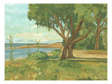 Mini Western Vista III